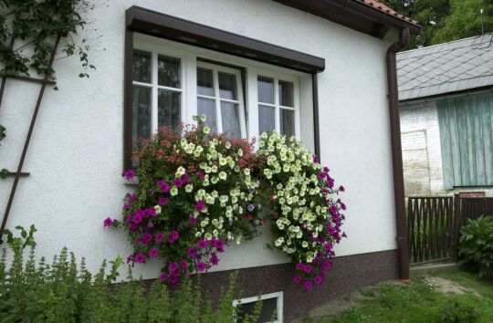 Ortsansicht in Ebersbach/Sa.