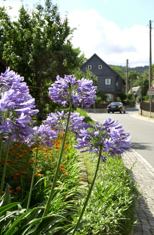 Ortsansicht in Waltersdorf