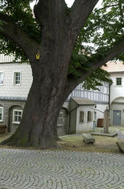 Bild: Ortsansicht in Seifhennersdorf