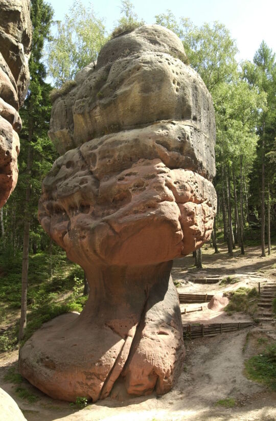 Landschaftsansicht im Zittauer Gebirge