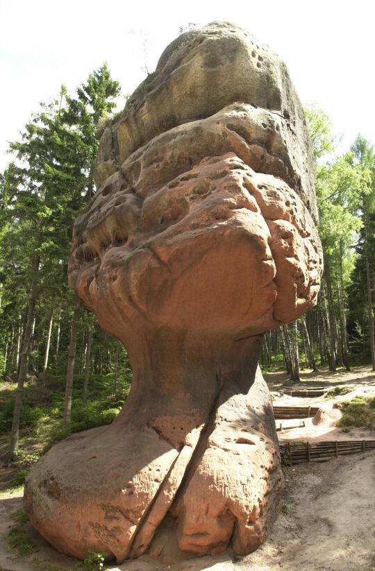 Landschaftsansicht im Zittauer Gebirge