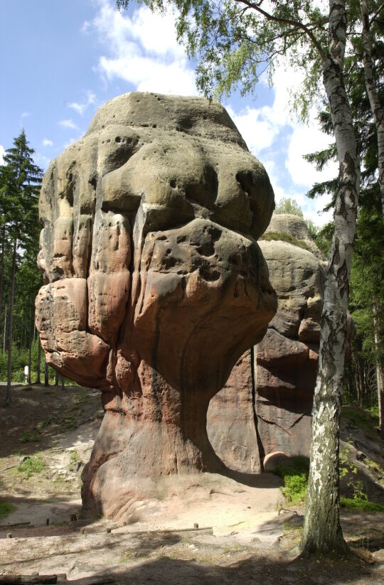 Landschaftsansicht im Zittauer Gebirge