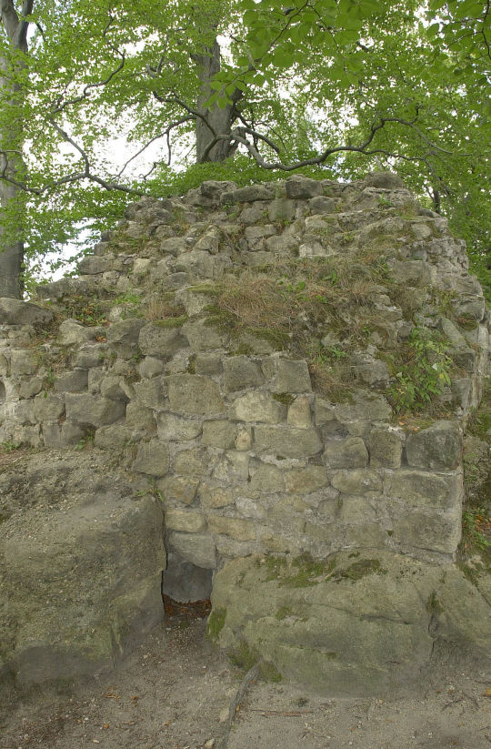 Ansicht der Ruine Karlsfried