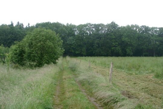 Ortsansicht in Nossen