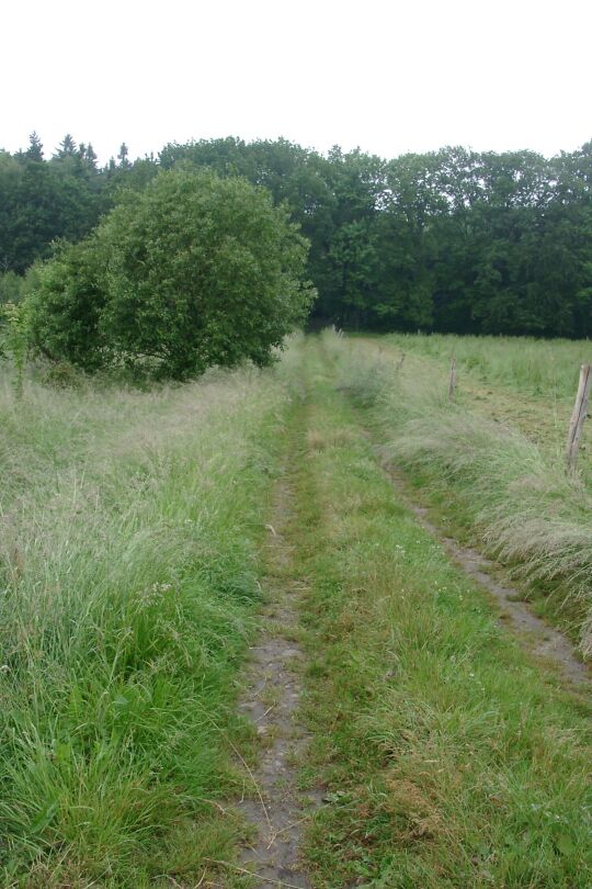 Ortsansicht in Nossen