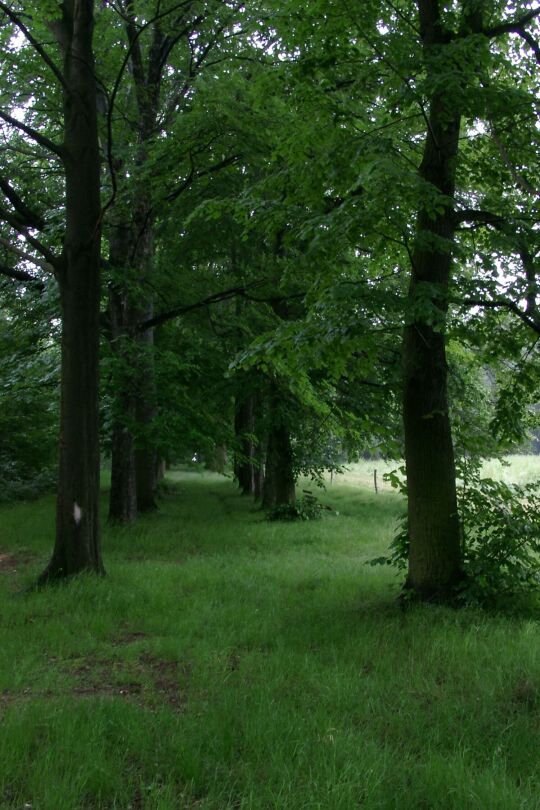 Ortsansicht in Nossen