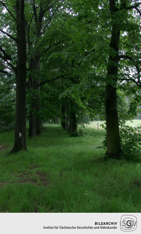 Ortsansicht in Nossen