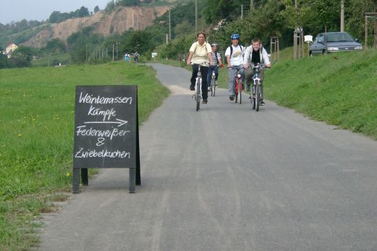 Radweg am Elbufer bei Meißen