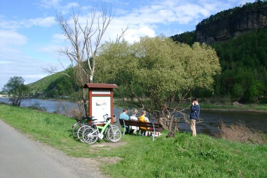 Elberadweg, linkselbisch, bei Krippen