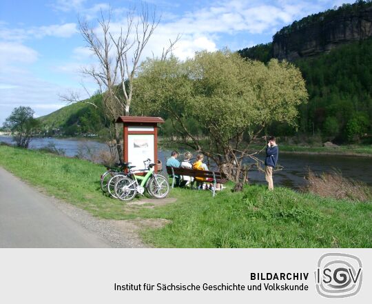 Elberadweg, linkselbisch, bei Krippen