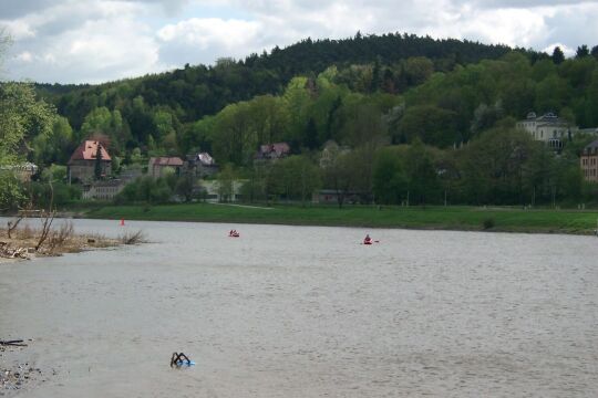 Elbe bei Königstein mit Pladerberg im Hintergrund