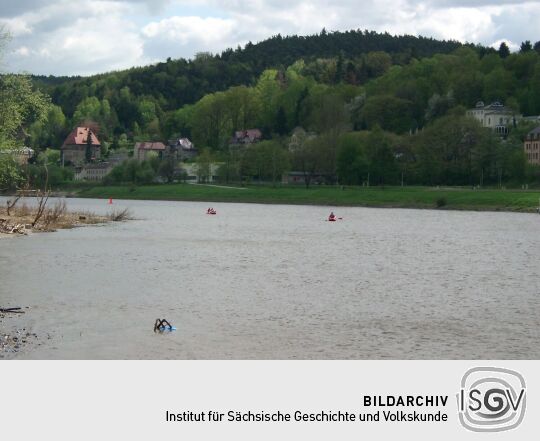 Elbe bei Königstein mit Pladerberg im Hintergrund