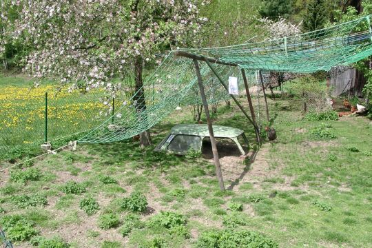 Garten im Elbtal bei Königstein