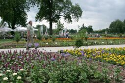 Bild: Ortsansicht in Großenhain