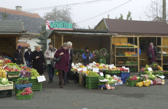 Ortsansicht in Vojtanov