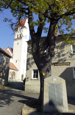 Bild: Ortsansicht in Bad Brambach