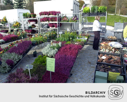 Ortsansicht in Klingenthal