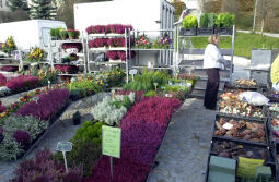 Bild: Ortsansicht in Klingenthal