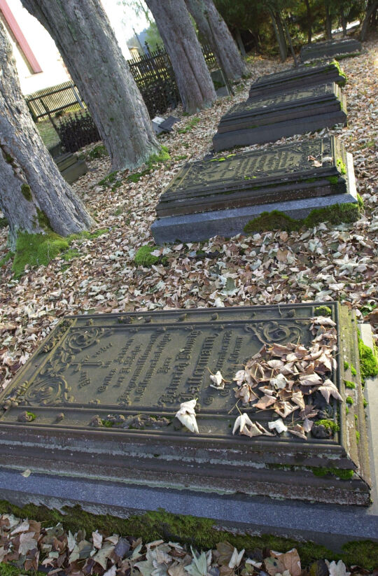 Ortsansicht in Morgenröthe-Rautenkranz