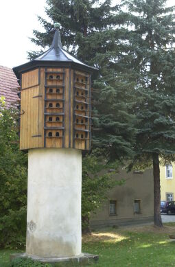 Bild: Ortsansicht in Schirgiswalde