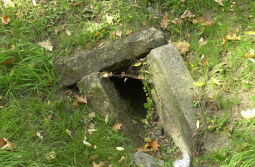 Bild: Ortsansicht in Taubenheim/Spree