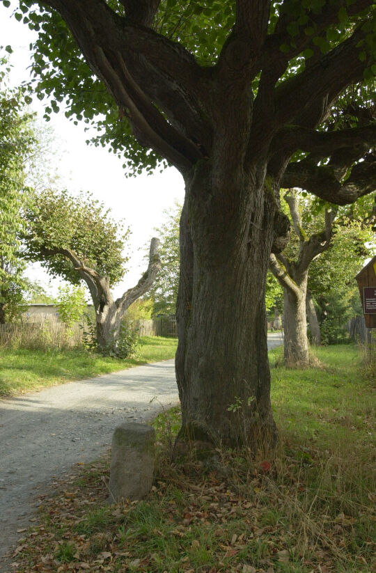 Ortsansicht in Neusalza-Spremberg