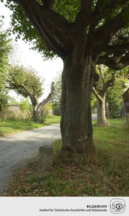 Ortsansicht in Neusalza-Spremberg