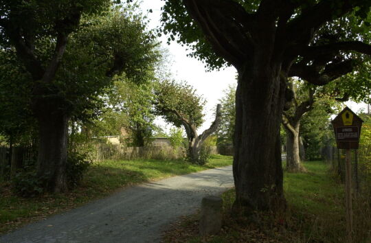 Ortsansicht in Neusalza-Spremberg