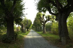 Bild: Ortsansicht in Neusalza-Spremberg