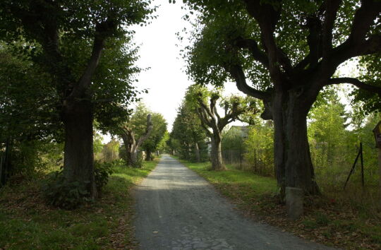 Ortsansicht in Neusalza-Spremberg