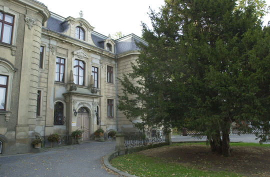 Ortsansicht in Neusalza-Spremberg