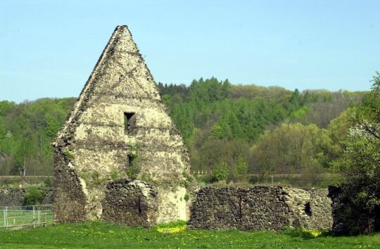 Ansicht des Klosters Altzelle