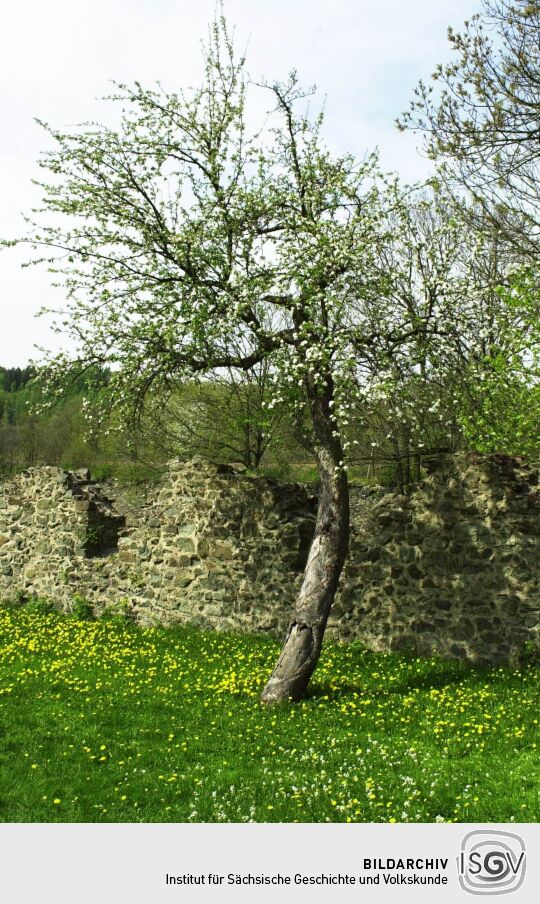 Ansicht des Klosters Altzelle