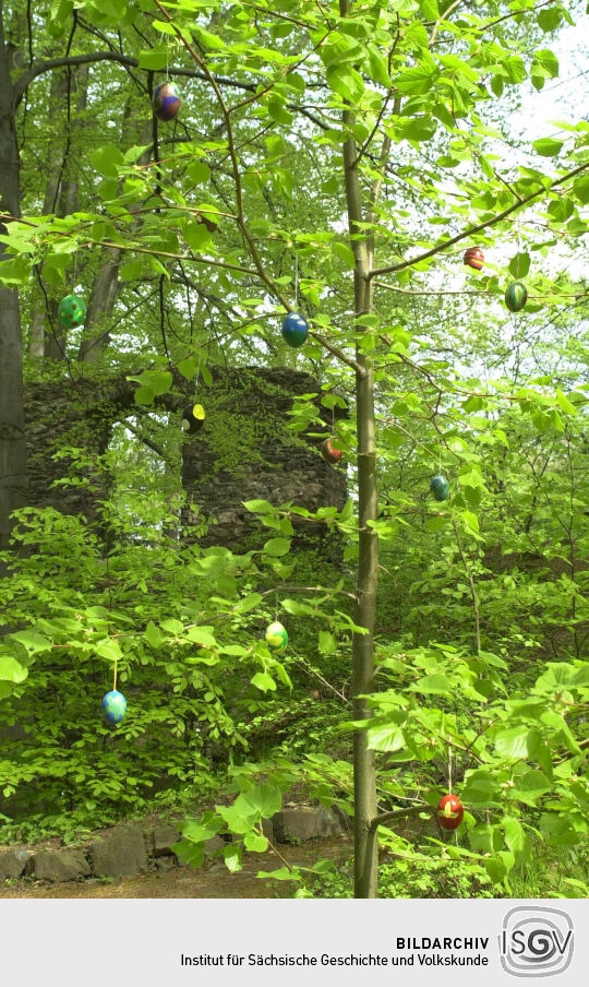 Ansicht des Klosters Altzelle