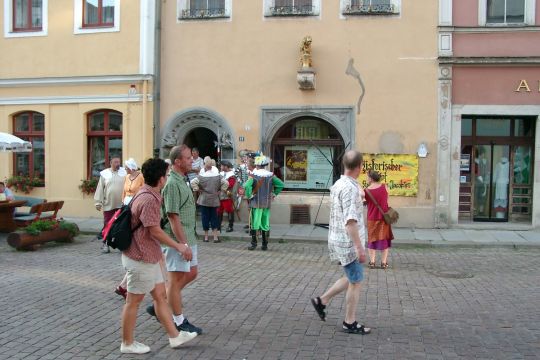 Ortsansicht in Pirna