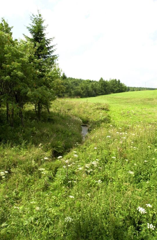 Landschaftsansicht bei Fürstenau