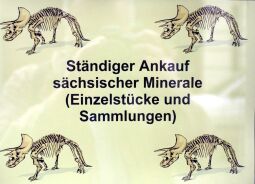 Bild: Ortsansicht in Freiberg