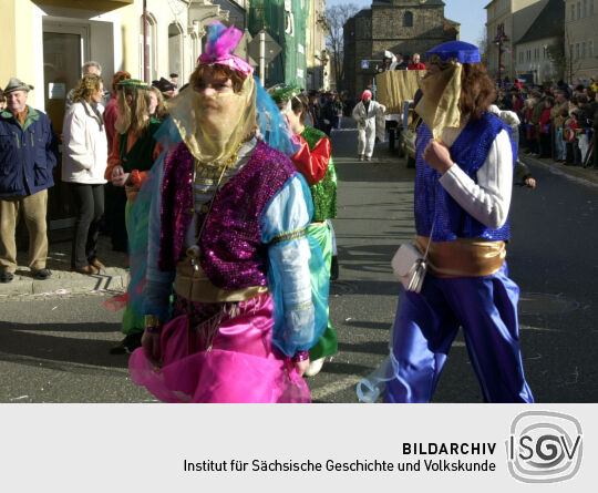Schifferfastnacht in Bad Schandau