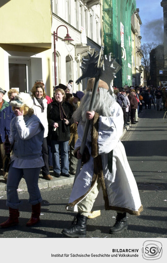 Schifferfastnacht in Bad Schandau