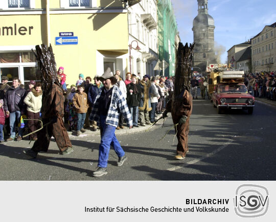 Schifferfastnacht in Bad Schandau