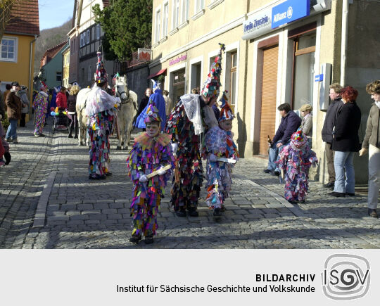 Schifferfastnacht in Bad Schandau