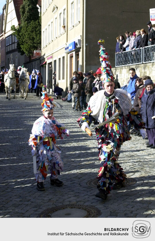 Schifferfastnacht in Bad Schandau