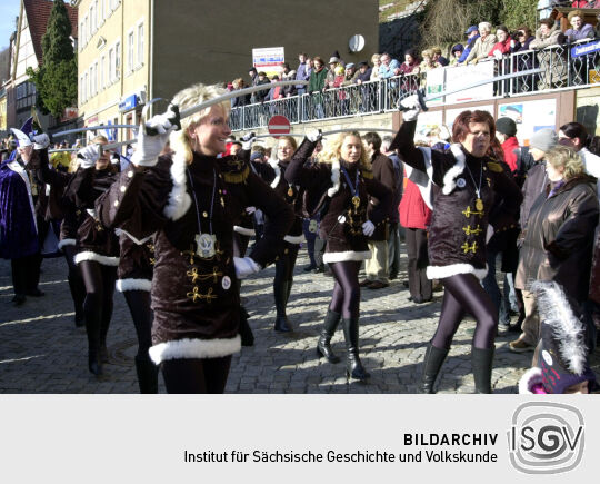Schifferfastnacht in Bad Schandau