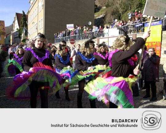 Schifferfastnacht in Bad Schandau