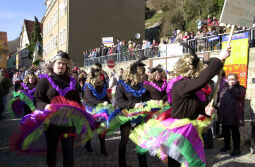 Bild: Schifferfastnacht in Bad Schandau