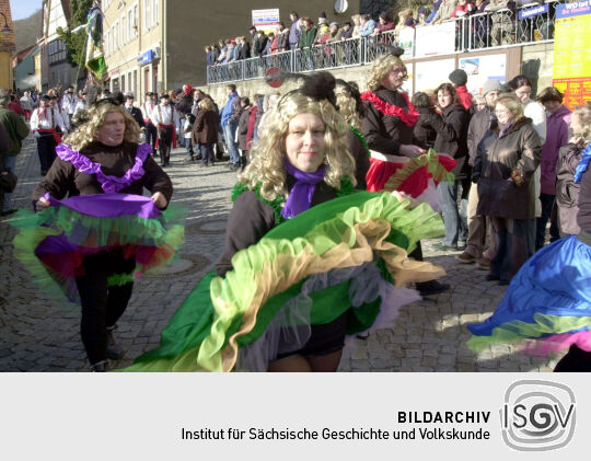 Schifferfastnacht in Bad Schandau