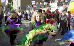 Bild: Schifferfastnacht in Bad Schandau