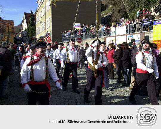 Schifferfastnacht in Bad Schandau