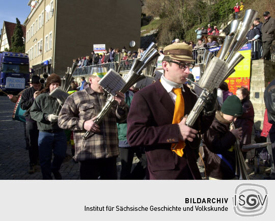 Schifferfastnacht in Bad Schandau
