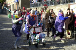 Bild: Schifferfastnacht in Bad Schandau